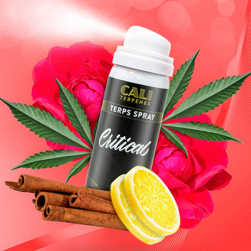 Critical Terps Spray by Cali Terpenes 5ml